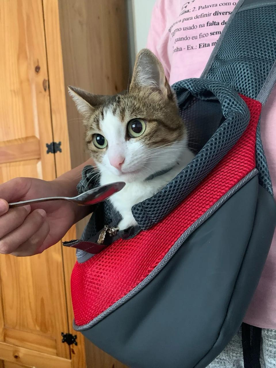 BOLSO VIAJERO PARA MASCOTAS